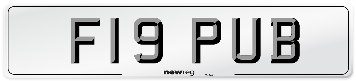 F19 PUB Number Plate from New Reg